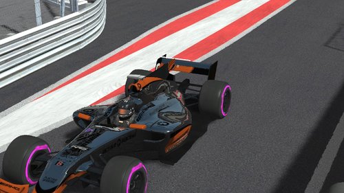 aleta1.jpg